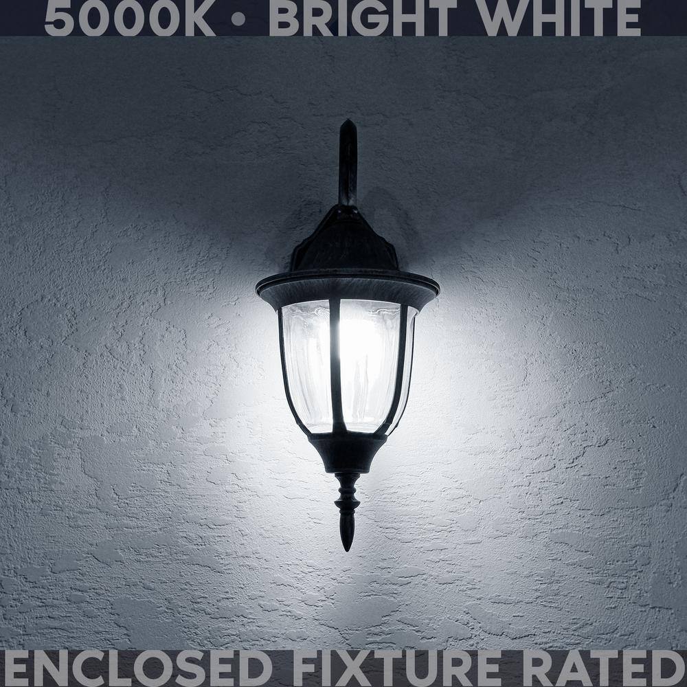 None 60-Watt Equivalent HX10.5 Glass Dimmable E12 Base Edison LED Light Bulb 4.5-Watt 500 Lumens Wet Rated 5000K (12-Pack)
