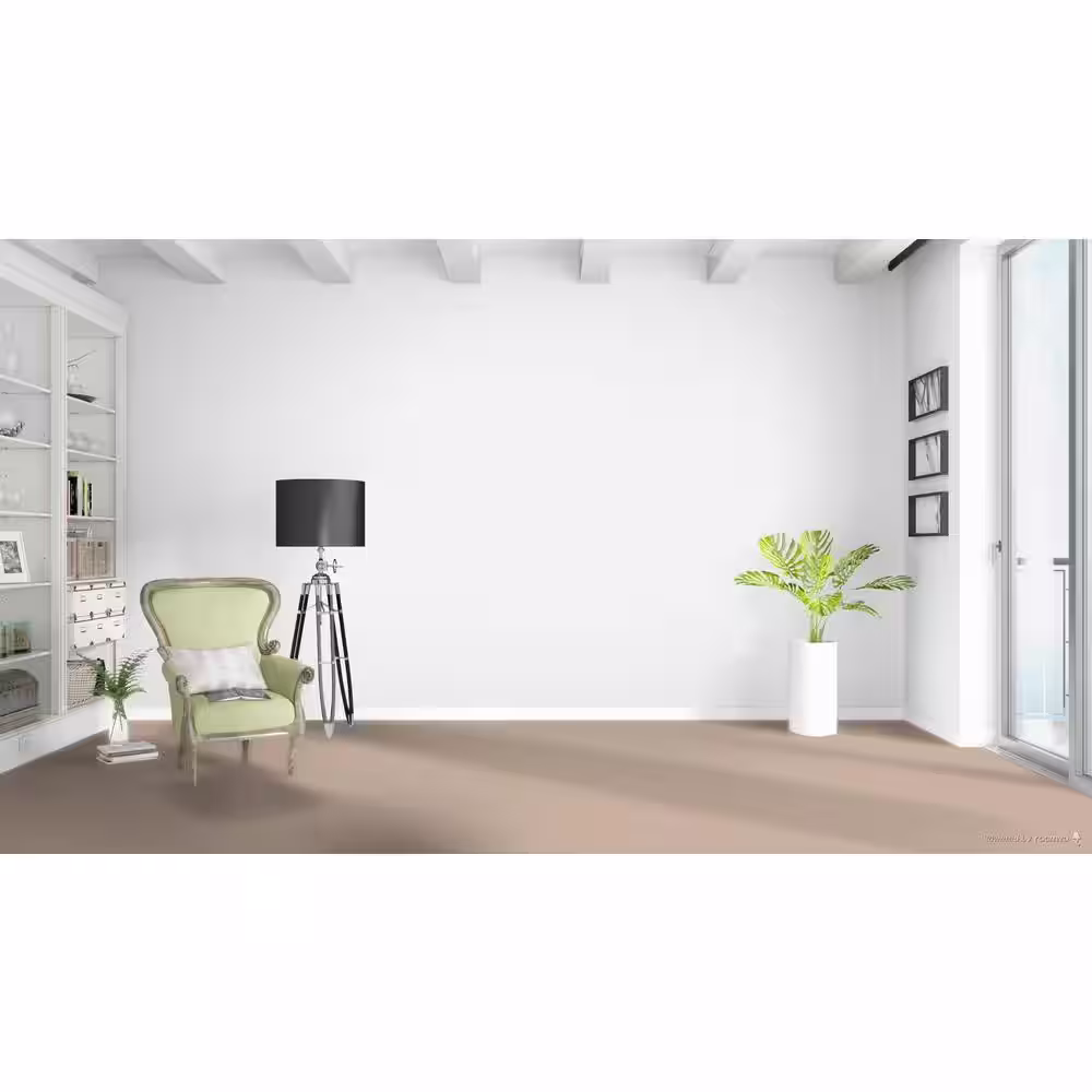 Home Decorators Collection Stargazer  - Visionary - Beige 32 oz. SD Polyester Texture Installed Carpet