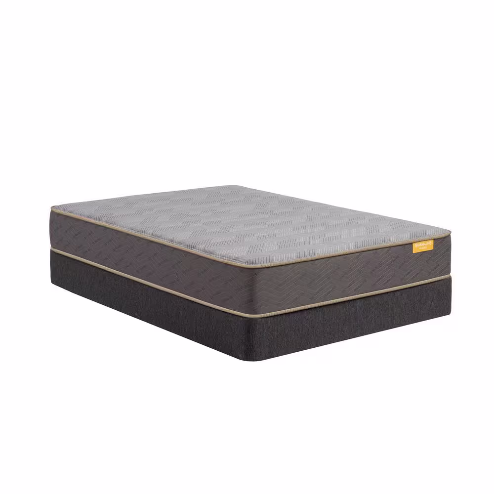 Simmons DeepSleep Hybrid Queen Plush 12 in. Mattress