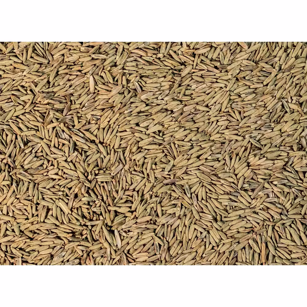 JB 7 lbs. Perennial Ryegrass Seed