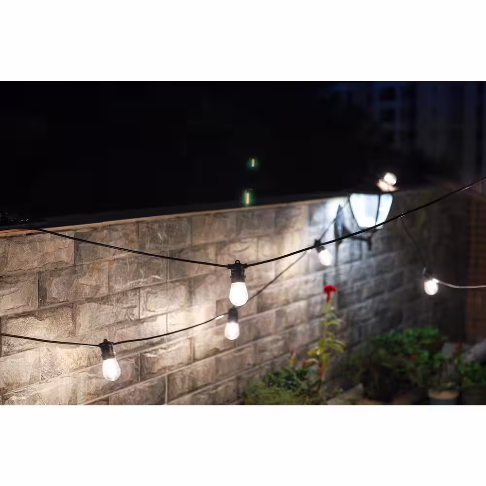 NATURE POWER 12-Light Outdoor 30 ft. Solar Powered Edison Bulb LED String Lights
