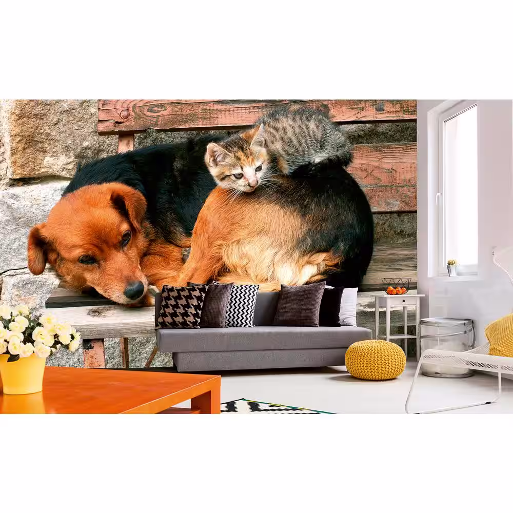 Dimex Photographic Cat and Dog Landscapes Wall Mural