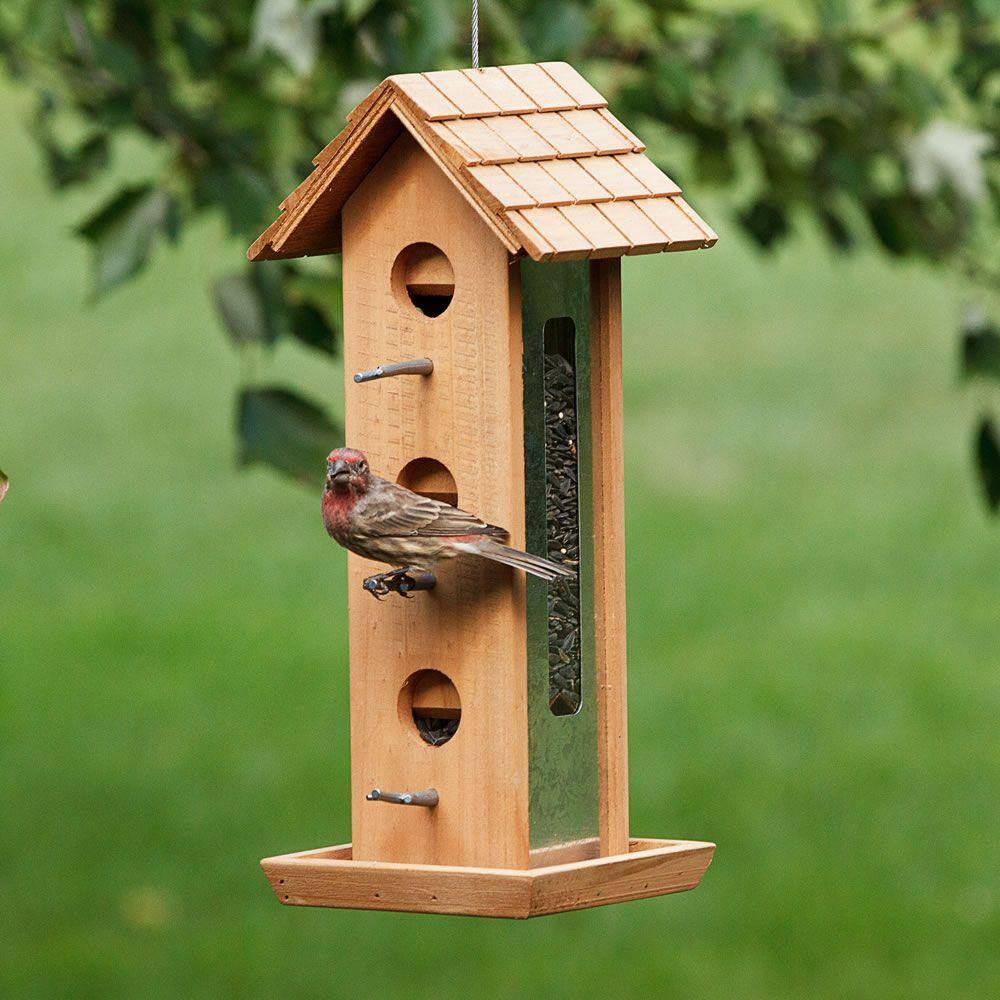 Perky-Pet Tin Jay Hanging Wood Bird Feeder - 2 lb. Capacity