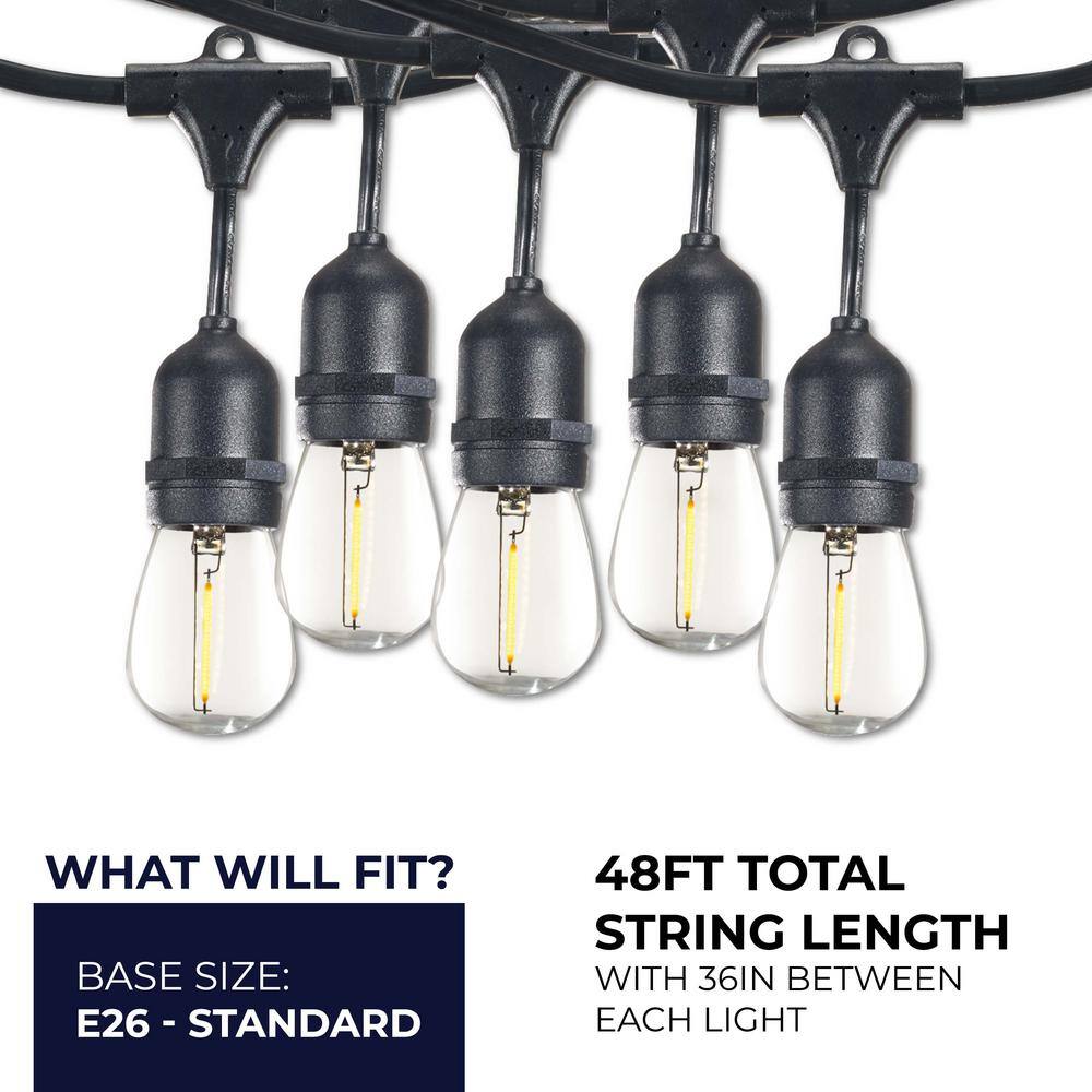 Bulbrite 15 Light 48 ft. Black Indoor/Outdoor Plug-in S14 String LightÂ with Clear LED Bulbs(2 Pack)
