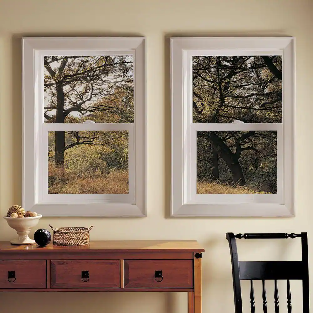 JELD-WEN 48 in. x 48 in. V-2500 Series Bronze FiniShield Vinyl Single Hung Window with Fiberglass Mesh Screen