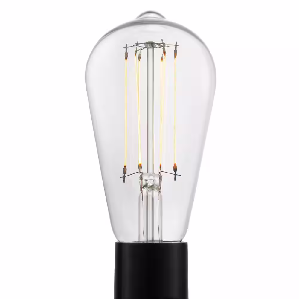 EcoSmart 40-Watt Equivalent ST19 Dimmable Cage Filament LED Vintage Edison Light Bulb Soft White (1-Pack)