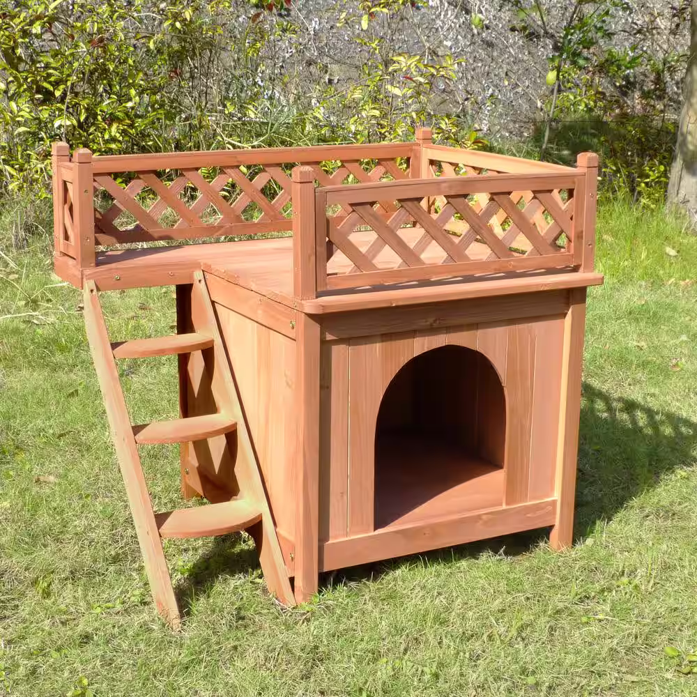 zoovilla Room with a View Dog House