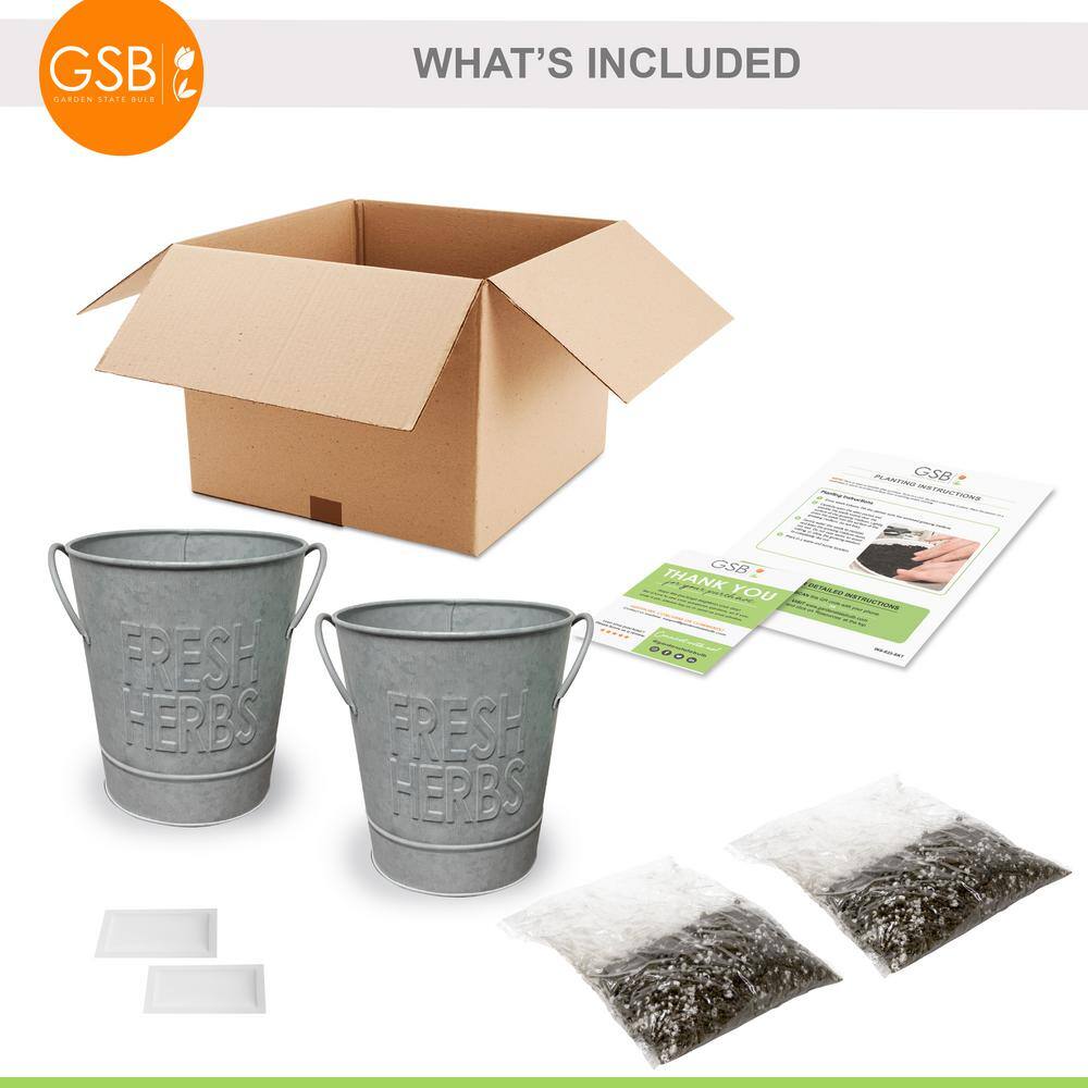 Garden State Bulb Herb Garden Kit with Aged Zinc Metal Planter (Basil and Mint) (2-Pack)