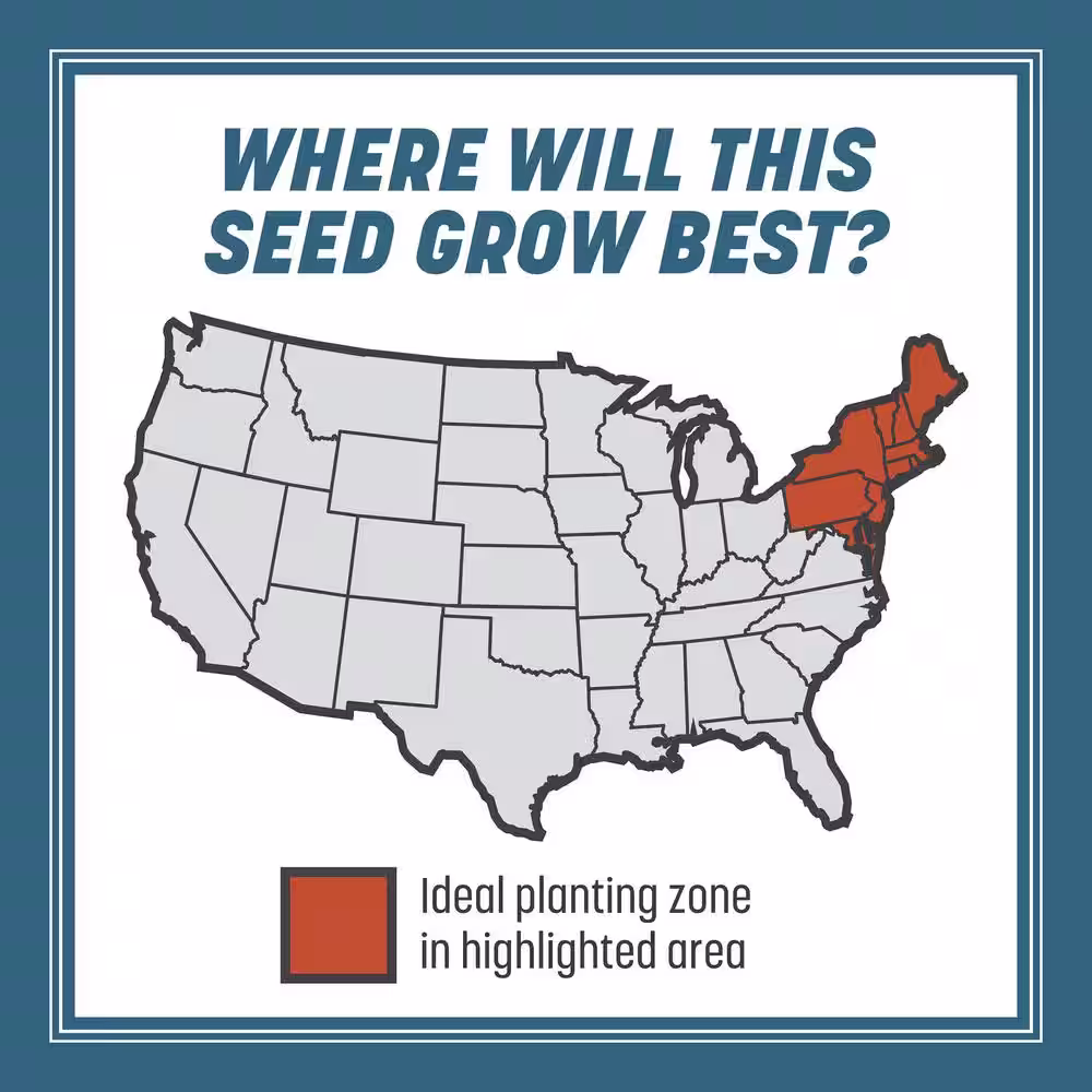 Pennington Smart Seed 7 lbs. Northeast Grass Seed and Fertilizer