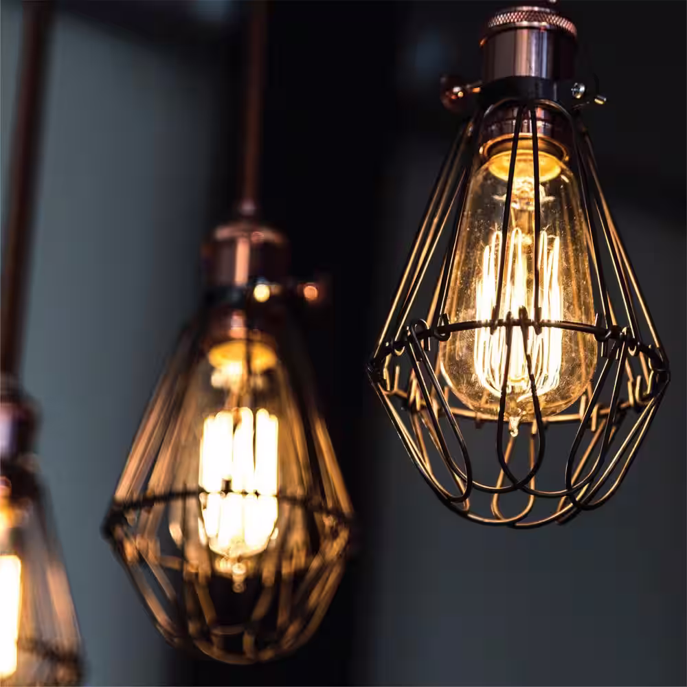 Newhouse Lighting 60-Watt Equivalent ST64 Vintage Style Edison Bulbs, Incandescent Dimmable E26 Filament Bulb, 2700K (6-Pack)